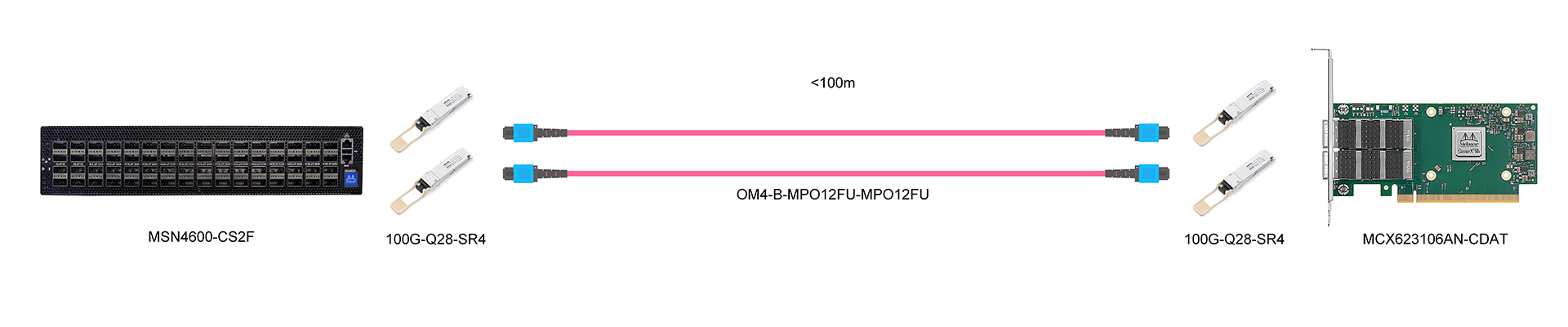 https://www.lsolink.com/wp-content/uploads/2025/05/产品连接图-100G-Q28-SR4-100G-Switch-to-Dual-Ports-NIC-Connection.jpg