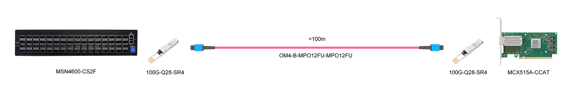 https://www.lsolink.com/wp-content/uploads/2025/05/产品连接图-MCX515A-CCAT-100G-Switch-to-NIC-Connection.jpg