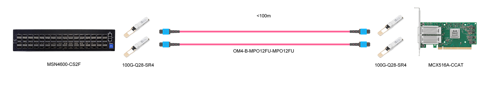 https://www.lsolink.com/wp-content/uploads/2025/05/产品连接图-MCX516A-CCAT-100G-Switch-to-Dual-Ports-NIC-Connection.jpg