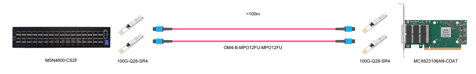 https://www.lsolink.com/wp-content/uploads/2025/05/产品连接图-MCX623106AN-CDAT-100G-Switch-to-Dual-Ports-NIC-Connection.jpg