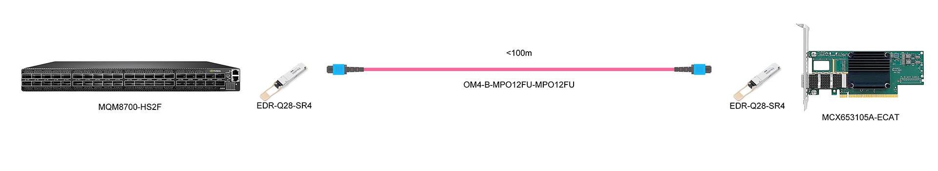https://www.lsolink.com/wp-content/uploads/2025/05/产品连接图-MCX653105A-ECAT-100G-Switch-to-NIC-Connection.jpg