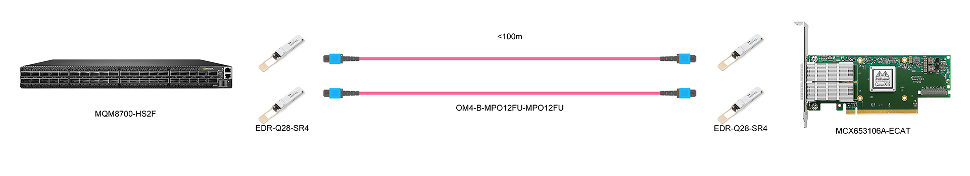 https://www.lsolink.com/wp-content/uploads/2025/05/产品连接图-MCX653106A-ECAT-100G-Switch-to-NIC-Connection.jpg