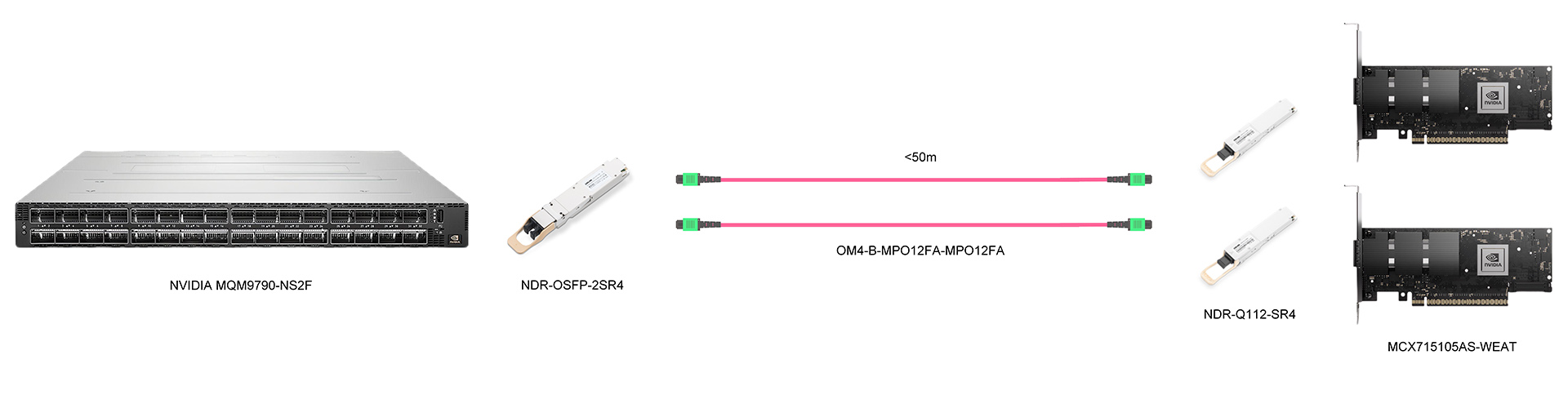 https://www.lsolink.com/wp-content/uploads/2025/05/产品连接图-MCX715105AS-WEAT-800G-Switch-to-Two-NICs-Connection.jpg