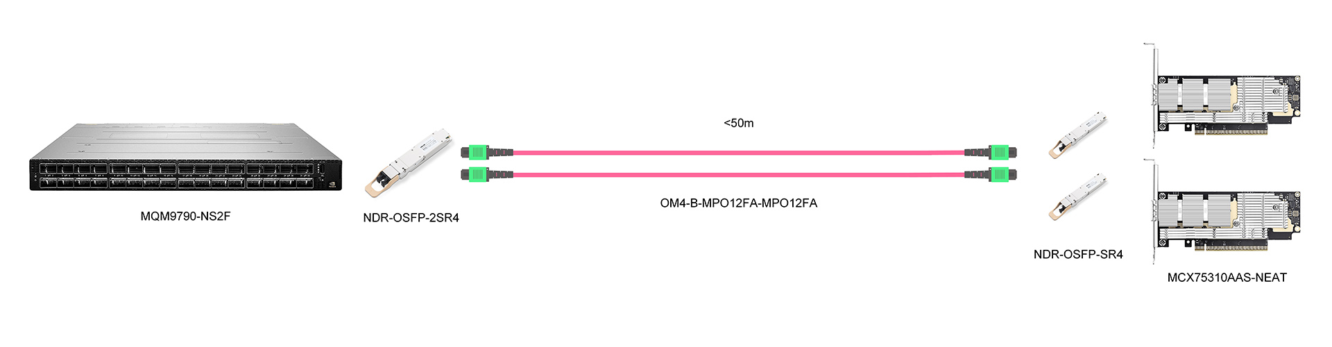 https://www.lsolink.com/wp-content/uploads/2025/05/产品连接图-MCX75310AAS-NEAT-800G-Switch-to-Two-NICs-Connection.jpg