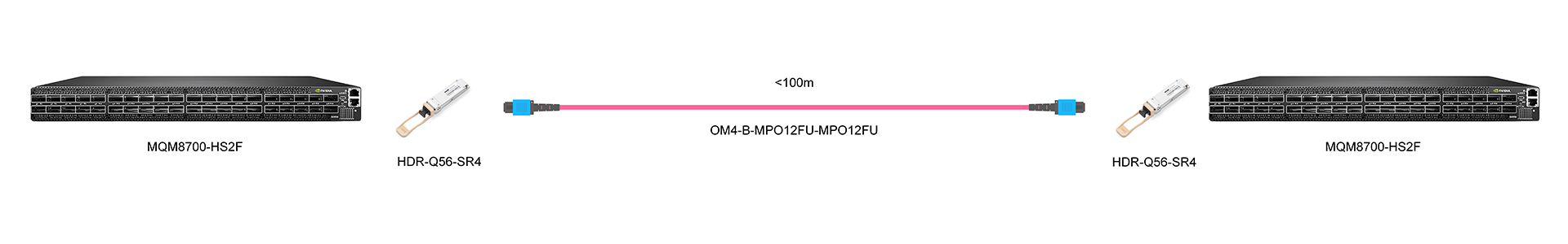 https://www.lsolink.com/wp-content/uploads/2025/05/产品连接图-MQM8700-HS2F-200G-Interconnect.jpg