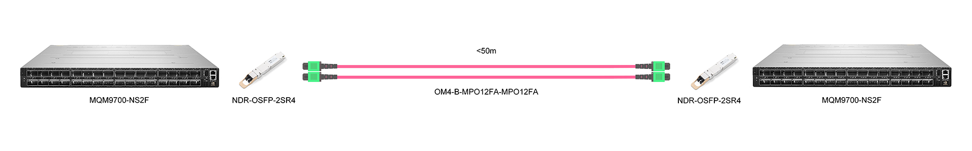 https://www.lsolink.com/wp-content/uploads/2025/05/产品连接图-MQM9700-NS2F-800G-Interconnect.jpg