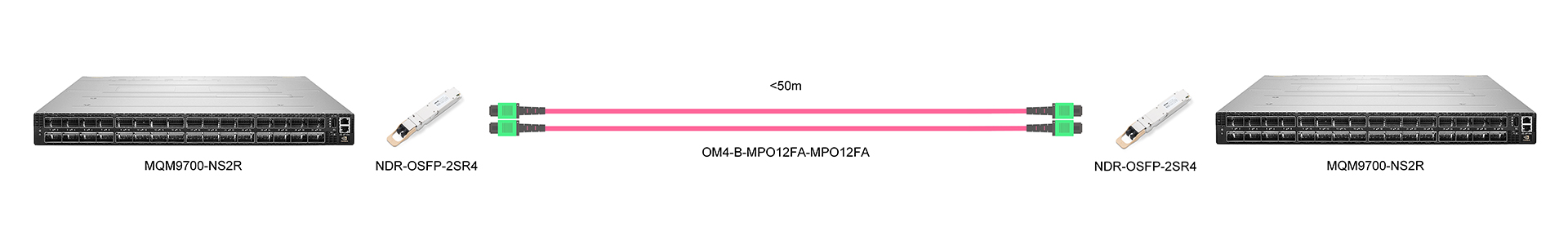 https://www.lsolink.com/wp-content/uploads/2025/05/产品连接图-MQM9700-NS2R-800G-Interconnect.jpg