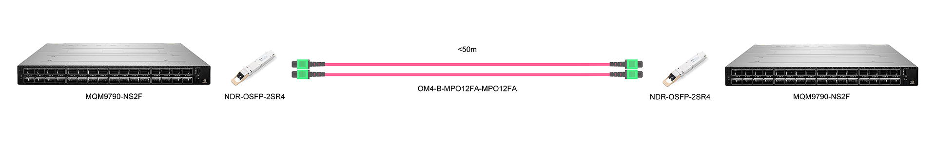 https://www.lsolink.com/wp-content/uploads/2025/05/产品连接图-MQM9790-NS2F-800G-Interconnect.jpg
