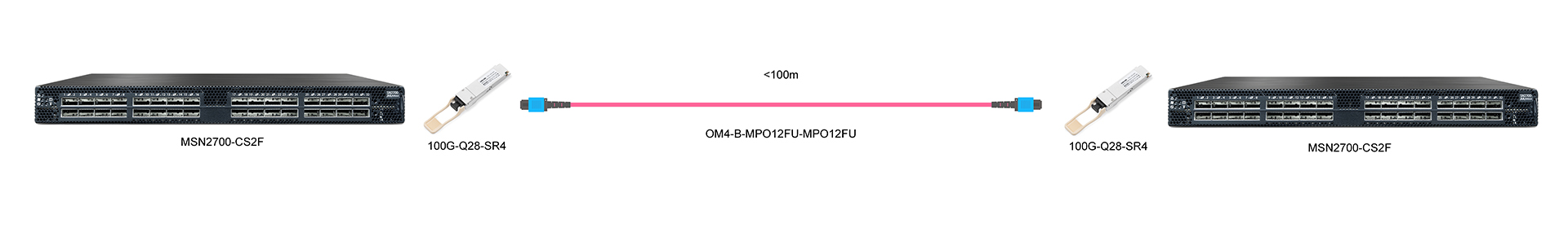 https://www.lsolink.com/wp-content/uploads/2025/05/产品连接图-MSN2700-CS2F-100G-Interconnect.jpg