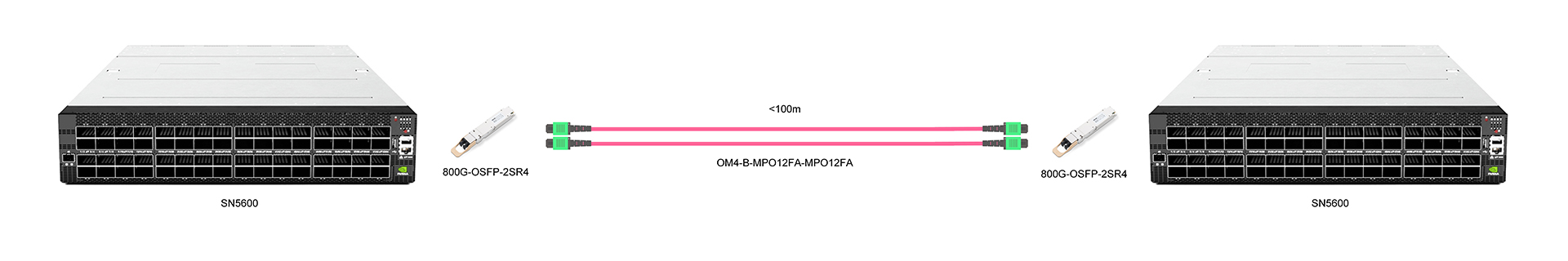 https://www.lsolink.com/wp-content/uploads/2025/05/产品连接图-SN5600-800G-Interconnect.jpg
