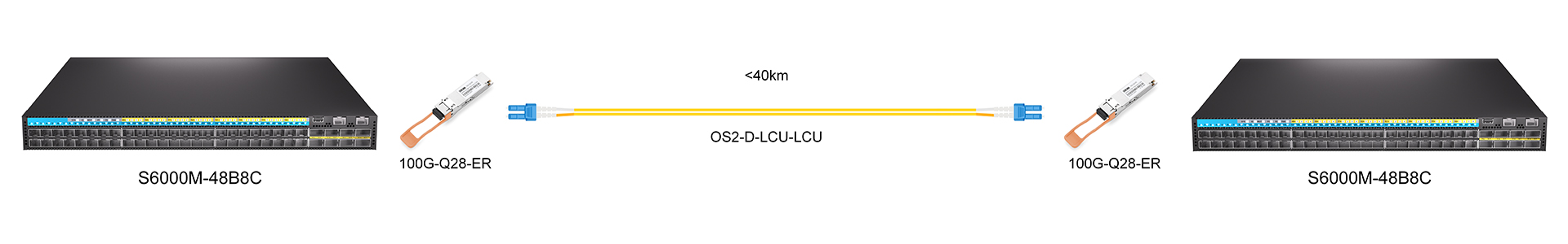 https://www.lsolink.com/wp-content/uploads/2025/06/100G-Q28-ER连接图.jpg
