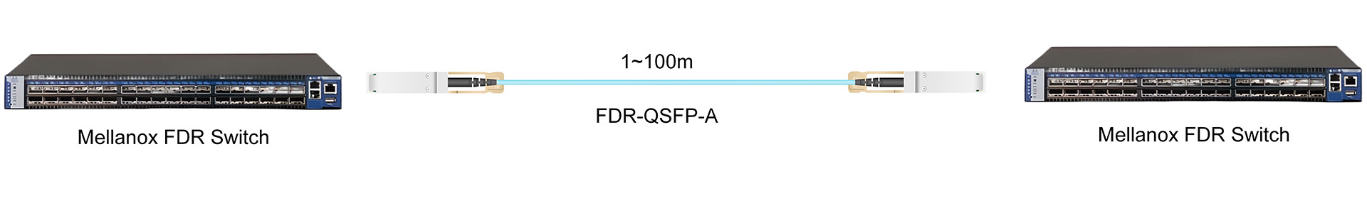 https://www.lsolink.com/wp-content/uploads/2025/06/FDR-QSFP-A连接图.jpg