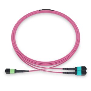30m(98ft) MPO-16(Female APC) to 2xMPO-8(Female UPC) OM4 Multimode Elite Breakout Cable, 16 Fiber, Plenum(LSZH), Magenta