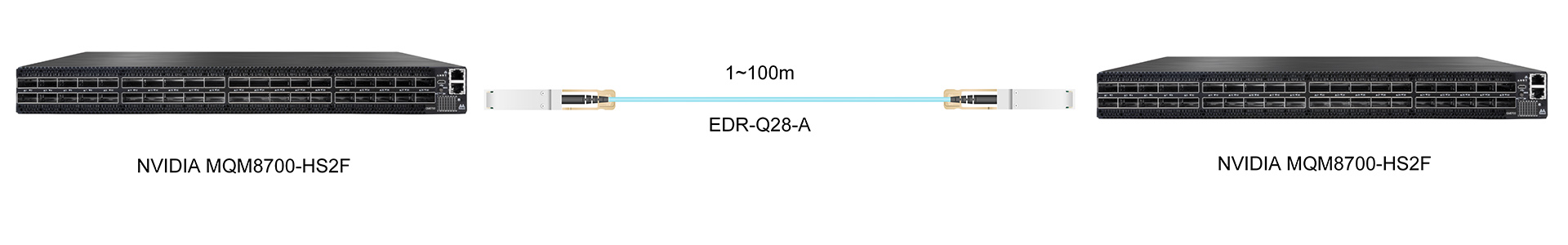 https://www.lsolink.com/wp-content/uploads/2025/06/产品连接图-EDR-Q28-A-100G-Direct-Connection.jpg