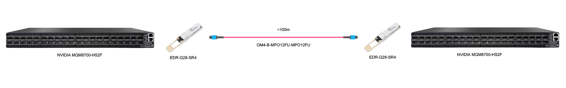 https://www.lsolink.com/wp-content/uploads/2025/06/产品连接图-EDR-Q28-SR4-100G-Direct-Connection.jpg