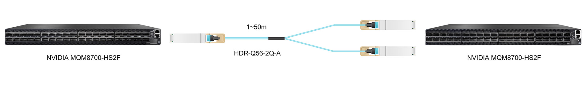 https://www.lsolink.com/wp-content/uploads/2025/06/产品连接图-HDR-Q56-2Q-A-200G-to-2×100G-Breakout-Connection.jpg