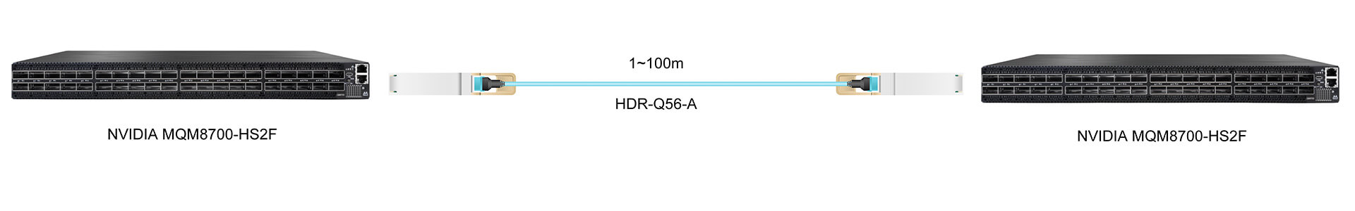 https://www.lsolink.com/wp-content/uploads/2025/06/产品连接图-HDR-Q56-A-200G-Direct-Connection.jpg