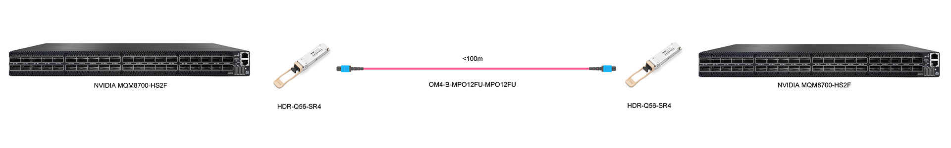 https://www.lsolink.com/wp-content/uploads/2025/06/产品连接图-HDR-Q56-SR4-200G-Direct-Connection.jpg
