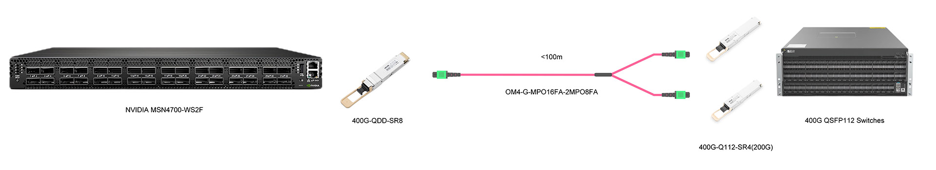 https://www.lsolink.com/wp-content/uploads/2025/06/产品连接图-OM4-G-MPO16FA-2MPO8FA-400G-to-2×200G-Breakout-Connection.jpg