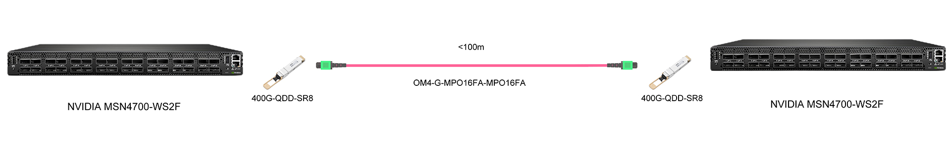 https://www.lsolink.com/wp-content/uploads/2025/06/产品连接图-OM4-G-MPO16FA-MPO16FA-400G-Interconnect.jpg