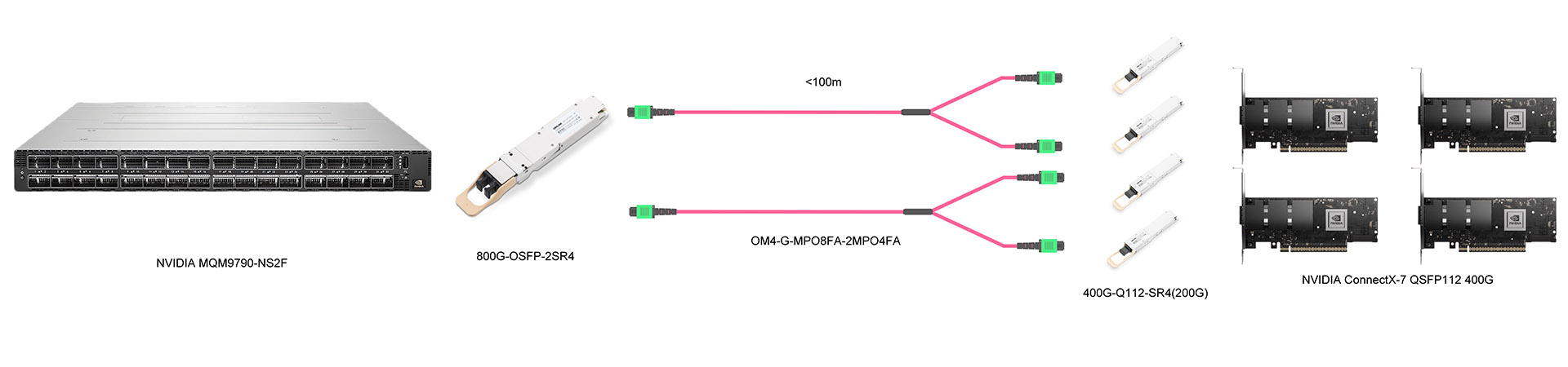 https://www.lsolink.com/wp-content/uploads/2025/06/产品连接图-OM4-G-MPO8FA-2MPO4FA-800G-to-4×200G-Breakout-Connection.jpg